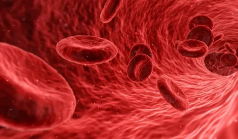 Obesidade pode aumentar risco de câncer, aponta pesquisadora