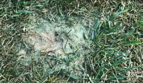 Fla comunica Conmebol que gramado do estádio da semi para jogo desta quarta pode ter sido destruído propositalmente