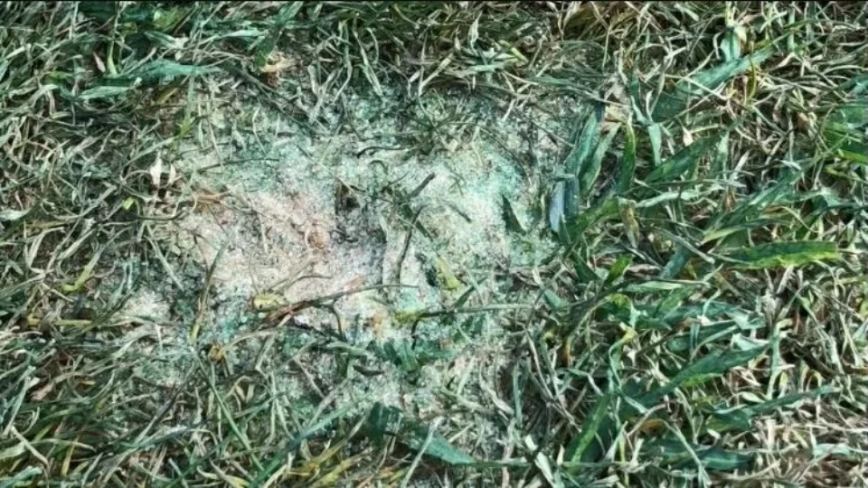 Fla comunica Conmebol que gramado do estádio da semi para jogo desta quarta pode ter sido destruído propositalmente