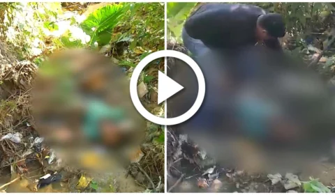 VÍDEO: corpo de homem é encontrado dentro de plantação da Zona Leste de Manaus