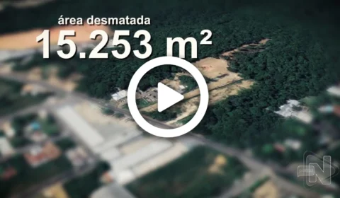 Norte Investigação: igarapé corre risco de acabar devido ao desmatamento, em Manaus