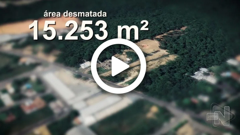 Norte Investigação: igarapé corre risco de acabar devido ao desmatamento, em Manaus