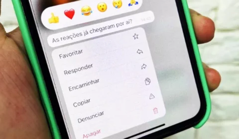 WhatsApp libera reações em mensagens com qualquer emoji para Android e iOS