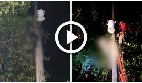 VÍDEO: homem morre carbonizado por descarga elétrica na BR-174, na Zona Rural de Manaus