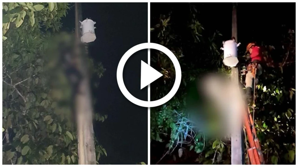VÍDEO: homem morre carbonizado por descarga elétrica na BR-174, na Zona Rural de Manaus