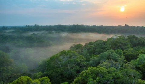 Três municípios do AM registram altas temperaturas em diferentes dias do mês agosto, diz Inmet