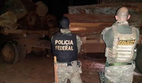Operação combate extração ilegal de madeira na terra indígena Aripuanã, em Mato Grosso