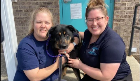 Após ser abandonado por donos por acharem que ele era ‘gay’, cachorro ganha nova família nos EUA