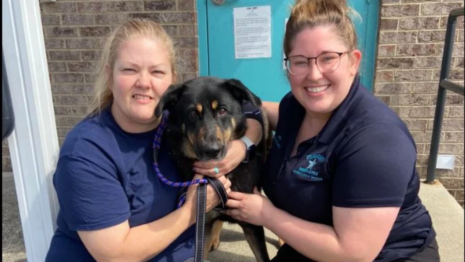 Após ser abandonado por donos por acharem que ele era ‘gay’, cachorro ganha nova família nos EUA