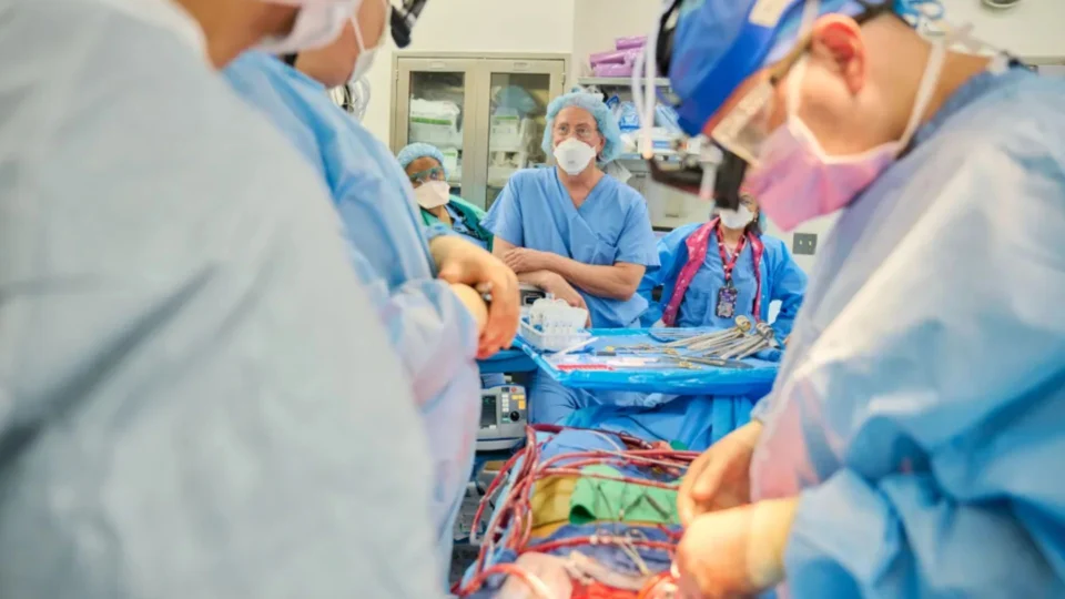 Corações de porco são implantados por pesquisadores em pacientes com morte cerebral nos EUA