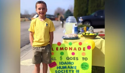 Garoto de 9 anos arrecada quase US$ 2 mil vendendo limonada e doa para abrigo de gatos nos EUA