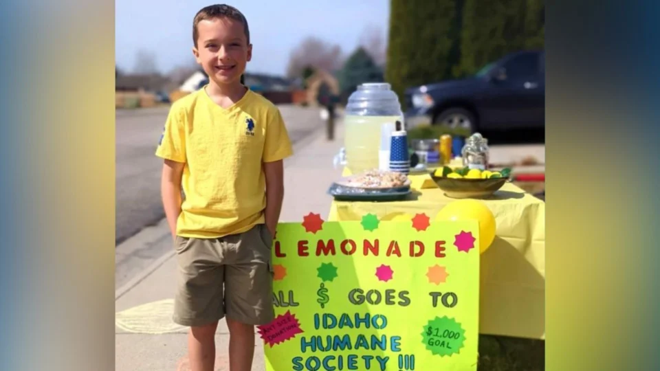 Garoto de 9 anos arrecada quase US$ 2 mil vendendo limonada e doa para abrigo de gatos nos EUA