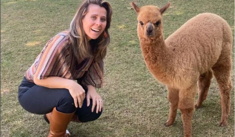 Família de Brasília ganha seguidores ao postar dia a dia de uma Alpaca
