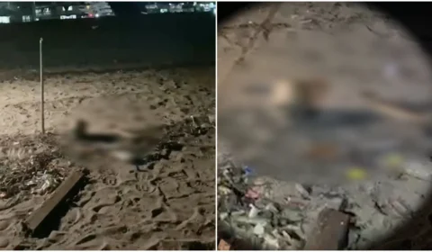 VÍDEO: barqueiro encontra partes de uma ossada humana no porto de Manaus