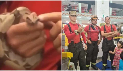 VÍDEO: cobra é achada em brinquedoteca de sorveteria, em Manaus