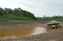 Seca no AM: 8 municípios estão em estado de emergência e 43 em atenção
