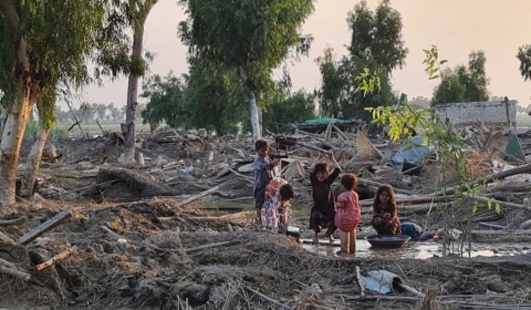 Poluição e desastres naturais aumentaram no mundo em 2021, diz IEP