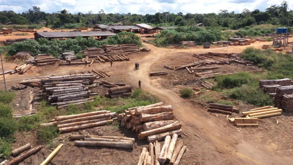 Desmatamento na Amazônia registra recorde em setembro, segundo Inpe