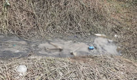 Ossada humana é encontrada na Zona Sul de Manaus