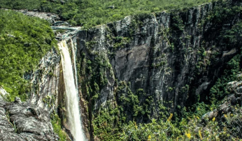 Conheça as belezas naturais do Parque Estadual Serra do Aracá no Amazonas