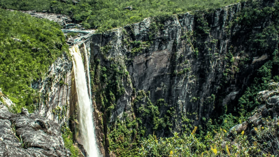 Conheça as belezas naturais do Parque Estadual Serra do Aracá no Amazonas