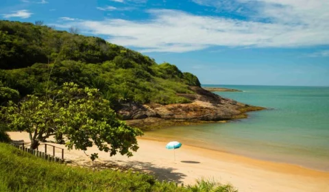 Conheça as belezas naturais da Praia de Bacutia, no Espírito Santo