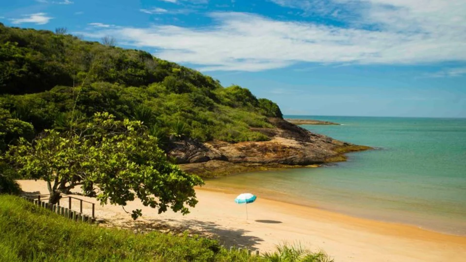 Conheça as belezas naturais da Praia de Bacutia, no Espírito Santo