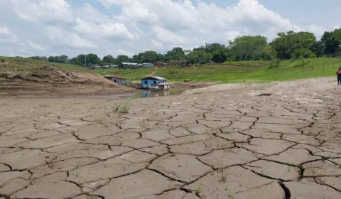 Seca coloca 5 municípios do Amazonas em estado de emergência; veja fotos