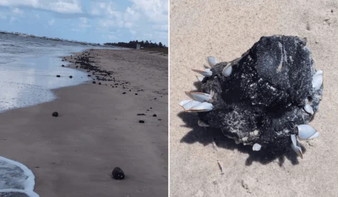 Toneladas de óleo são retiradas de praias em Pernambuco