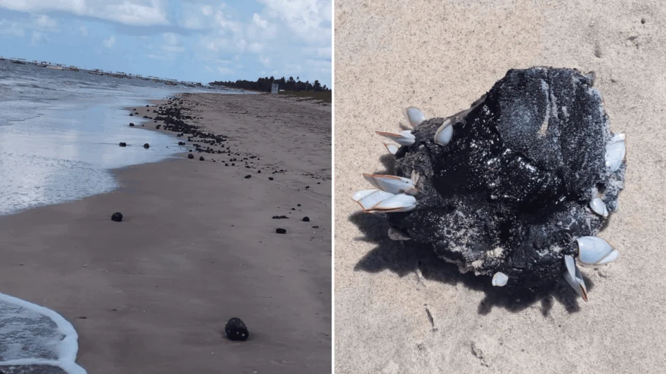Toneladas de óleo são retiradas de praias em Pernambuco