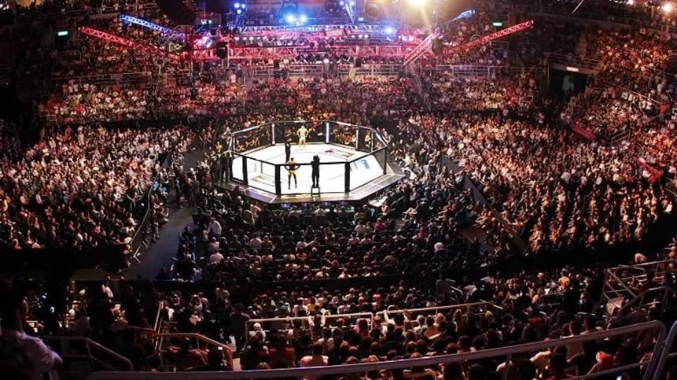 Quatro brasileiros estarão em ação no octógono do UFC Las Vegas neste sábado