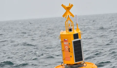 Boias de alta tecnologia são usadas para proteger baleias no Chile