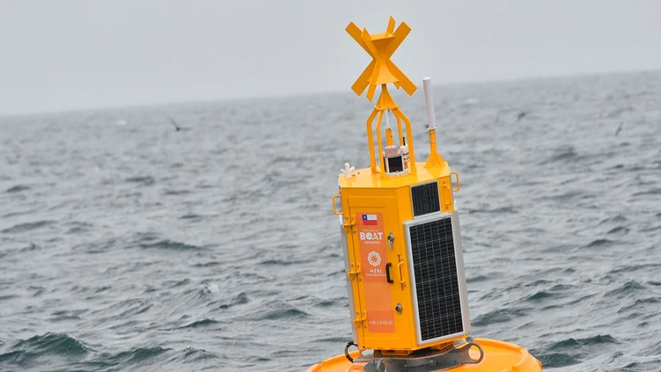 Boias de alta tecnologia são usadas para proteger baleias no Chile