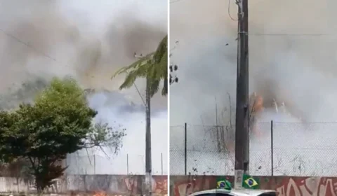 Incêndio em área de mata é registrado na Zona Centro-Oeste de Manaus