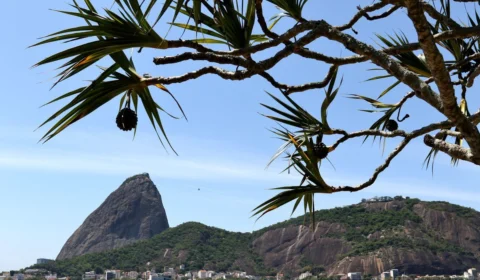 Parque Bondinho Pão de Açúcar, no RJ, completa 110 anos; confira programação