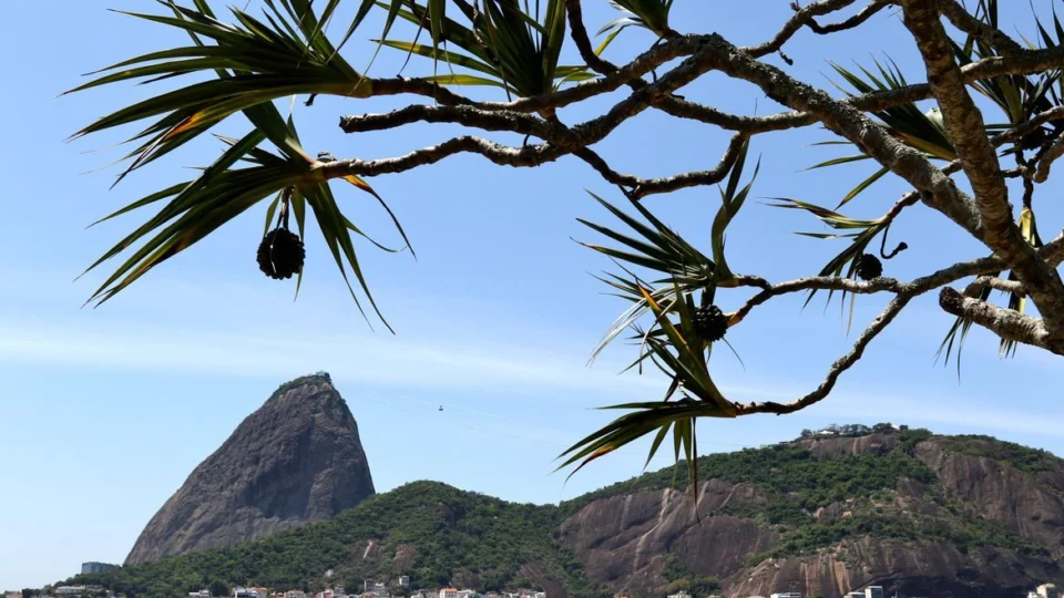Parque Bondinho Pão de Açúcar, no RJ, completa 110 anos; confira programação