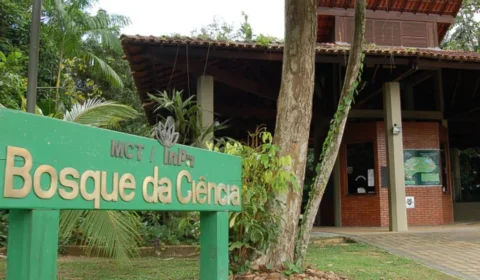 Bosque da Ciência reabre para visitação do público na Semana das Crianças