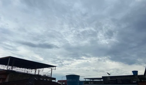 Defesa Civil registra queda de árvore e alagação após chuvas em Manaus