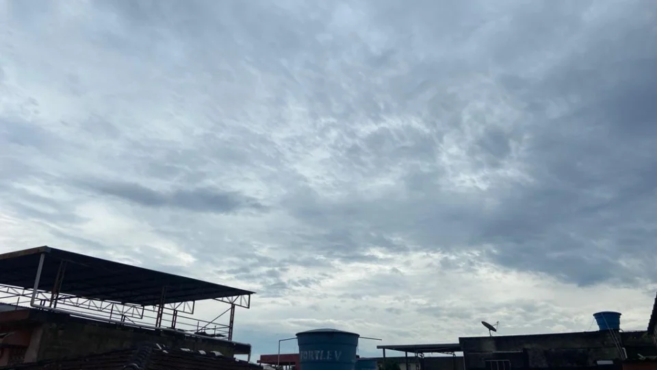 Defesa Civil registra queda de árvore e alagação após chuvas em Manaus