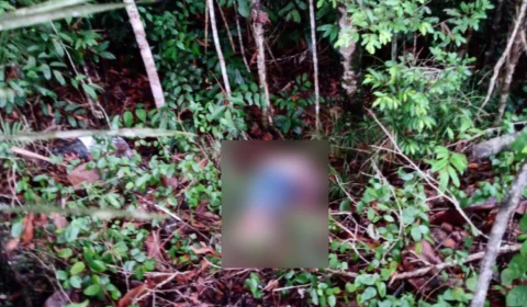 Corpo é encontrado por funcionários de obra em mata na Zona Oeste de Manaus