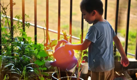 Shopping oferece oficina de jardinagem gratuita para crianças em Manaus