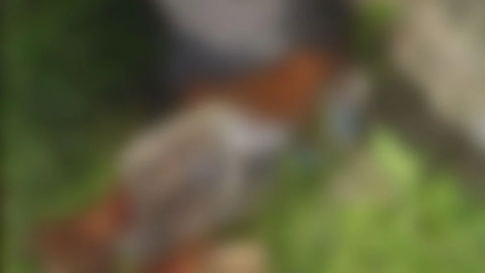 Homem é executado a tiros na Zona Norte de Manaus