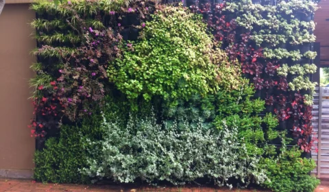 Arquitetos apresentam 3 estilos de jardim bonitos e aconchegantes