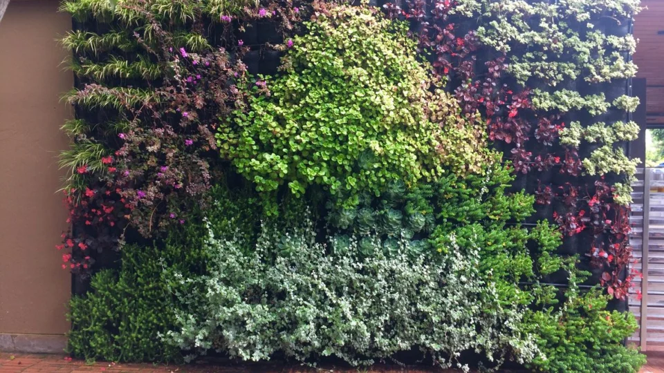 Arquitetos apresentam 3 estilos de jardim bonitos e aconchegantes