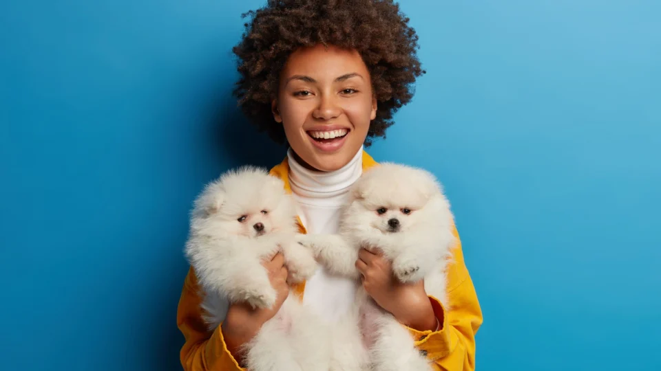 Acariciar animais de estimação faz bem ao cérebro humano, diz estudo