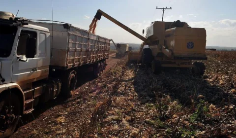 Brasil pode plantar mais soja sem desmatar a Amazônia, diz estudo científico