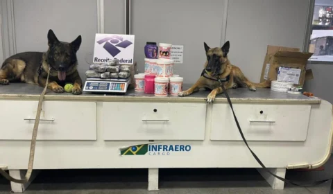 Vídeo: 8 kg drogas e dinheiro falso são apreendidos em encomendas, em Manaus