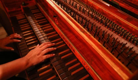 Manaus recebe Concerto ‘EcoMúsica – Piano e Sons da Natureza’ neste sábado