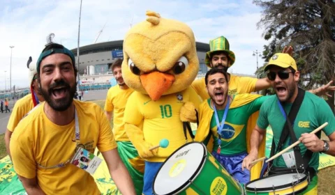 Copa do Mundo 2022: leões, tigres, cangurus e canarinhos entram em campo