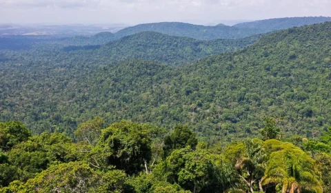 Emenda de Kigali: Brasil ratifica combate ao aquecimento global